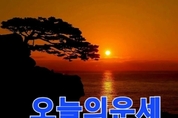 [오늘의 운세] 2024년 12월 17일(화) #오늘도행복하세요