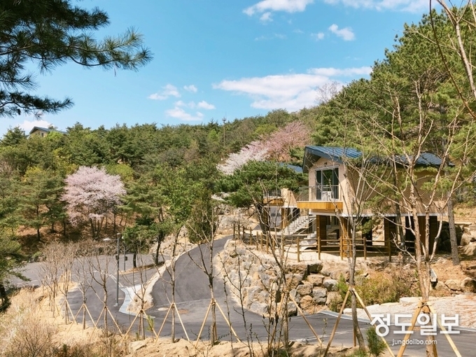 철원 두루웰 숲속문화촌 성황, 에코오드벤처 이용자 70% 늘어
