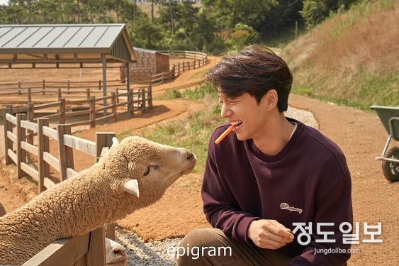 인기배우 공유, 고창 주요 여행지 화보 공개