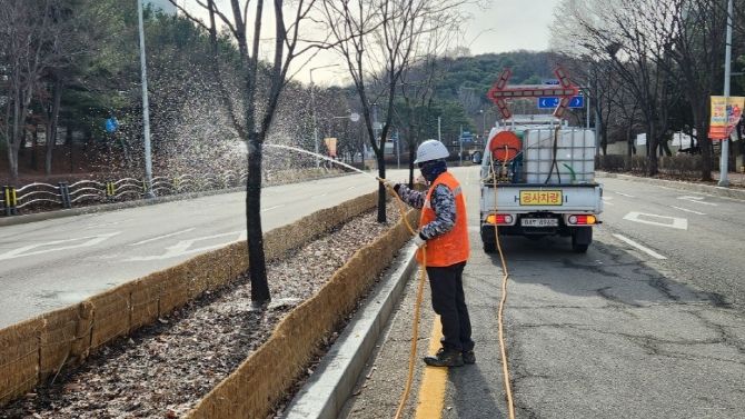 가로수에 염분중화제를 뿌리는 모습