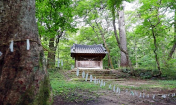 '신들의 숲이 열린다' 원주시 천연기념물 '성황림'개방 행사