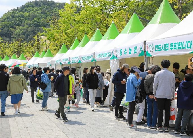 양평 용문산 산나물축제
