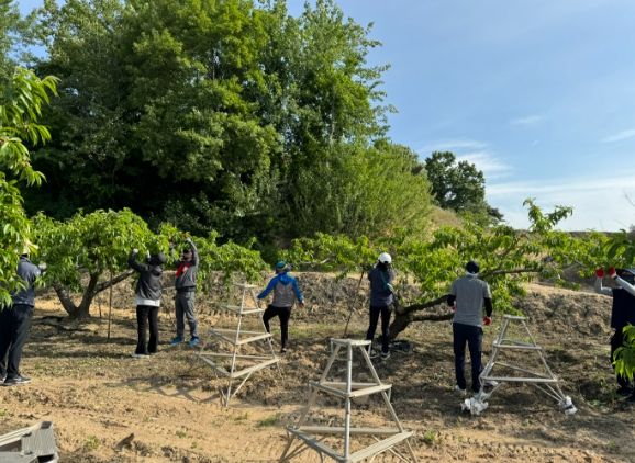 부안군 문화예술과·재무과, 농번기 농촌일손돕기 추진