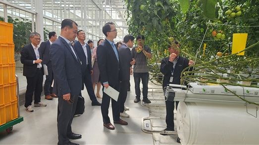 스마트팜 혁신밸리 중심 전북자치도, 스마트팜 육성, 국가가 주목한다!