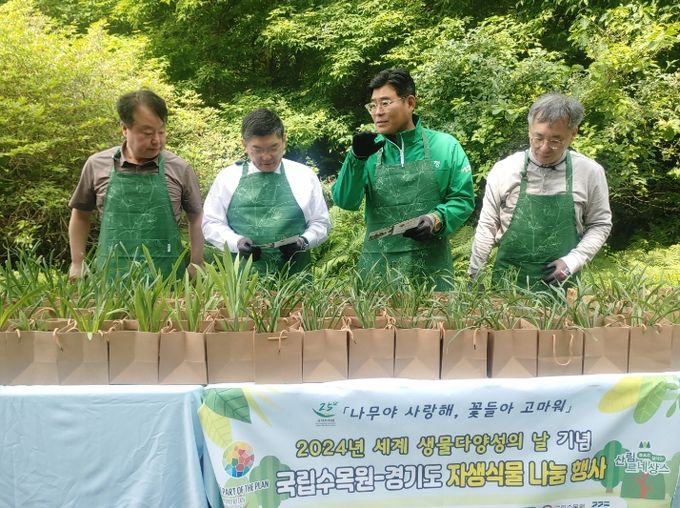 22일 오전 경기도 여주 가남읍 연대리에서 열린 2024년 경기미 모내기 행사에서 김동연 경기도지사, 이충우 여주시장, 정병관 여주시의회 의장, 도의원, 시의원 및 농업인 등이 손 모내기를 하고 있다.
