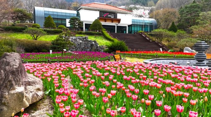 대아수목원 전경