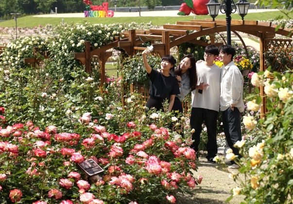 임실치즈테마파크, 5월 장미의 유혹으로의 초대