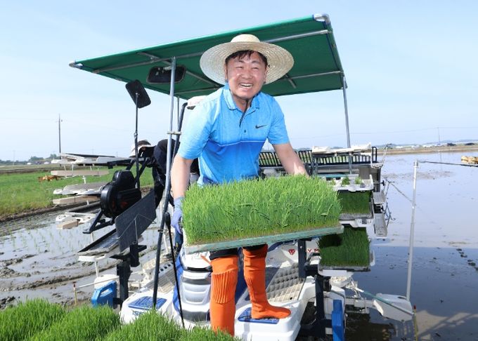 김관영 도지사, 농민들과 풍년기원 모내기 구슬땀