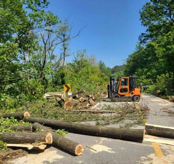 임실군, 2024년 숲가꾸기패트롤 운영