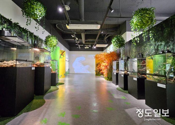 자연생태박물관 기획전 ‘파충류 탐구전’ (전시 전경 및 세부)