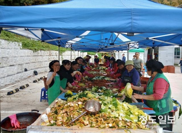 파주시 법원읍 새마을부녀회, 따뜻한 겨울나기 김장 나눔 행사
