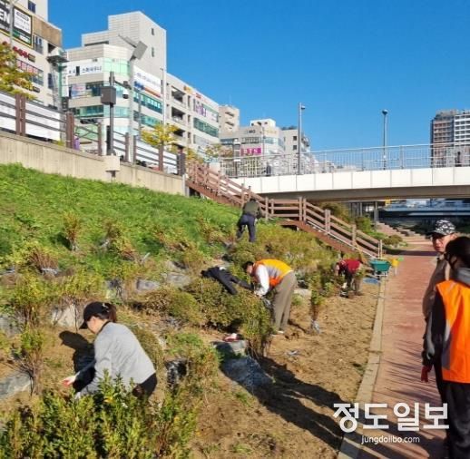 파주시 운정3동 주민자치회, 소리천변 산책로에 철쭉 꽃길 조성