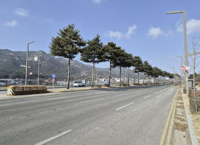 홍성군 내포신도시 관문 '도청대로' 장송 전정