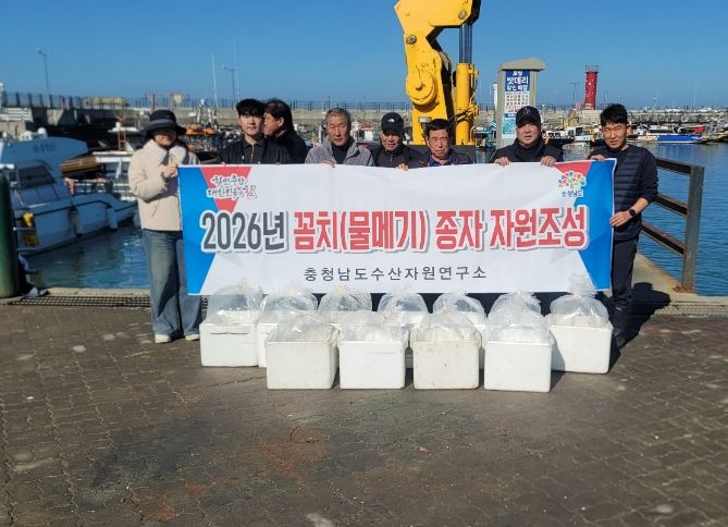 꼼치 종자 100만 마리 순차 방류