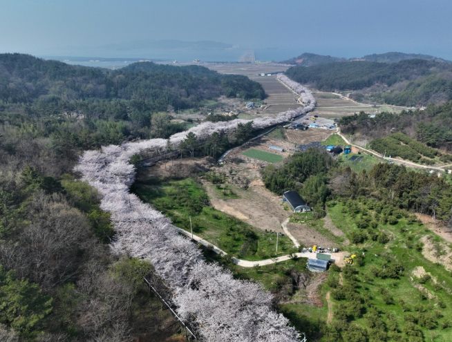 3월, 봄바람 따라 떠나는 고흥 여행