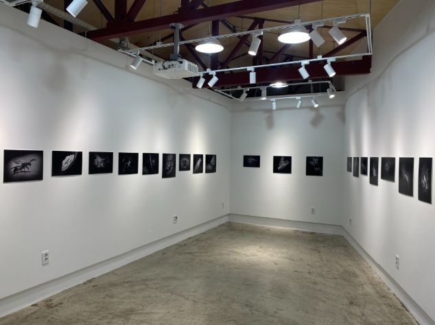 동구청년센터 전시