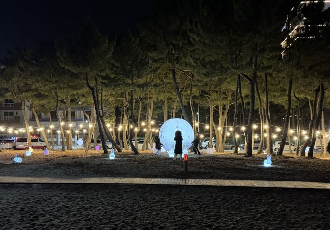 달토끼 포토존(광각)