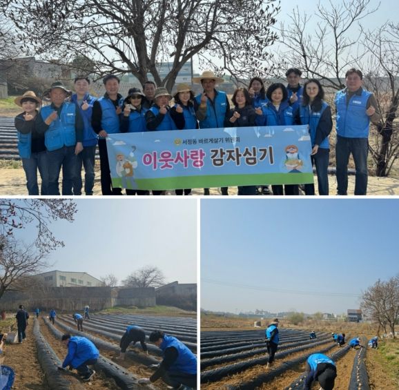평택시 바르게살기운동 서정동위원회, 감자 심기 행사로 따뜻한 나눔 실천