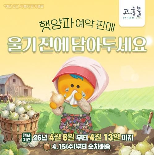 고흥군 고흥몰, 거금도 햇양파 예약 판매 시작